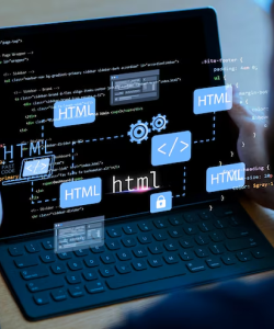 Web Development